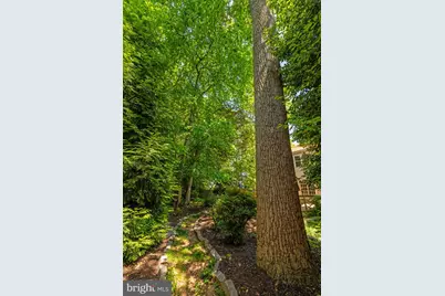 9716 Bunchberry Place, Vienna, VA 22181 - Photo 121