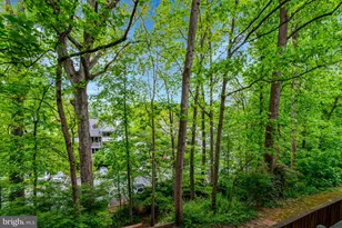 7717 Donnybrook Ct, Annandale, VA 22003 - Photo 67