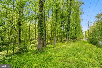 8545 Old Dominion Drive, McLean, VA 22102 - Photo 25