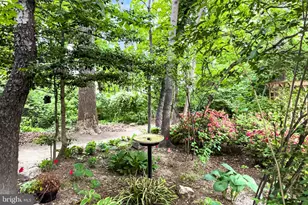 5308 New Church Ct, Fairfax, VA 22032 - Photo 21