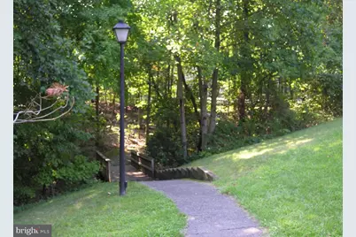 7027 Solomon Seal Court, Springfield, VA 22152 - Photo 39