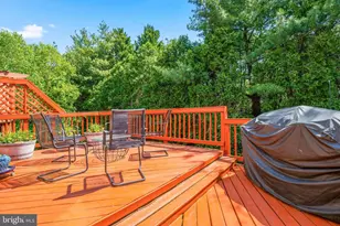 6202 Manchester Park Cir, Alexandria, VA 22310 - Photo 35