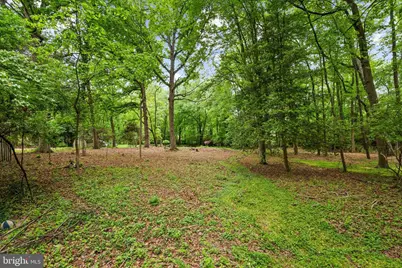 1914 Birch Road, McLean, VA 22101 - Photo 5