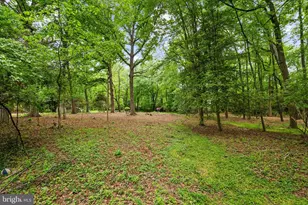 1914 Birch Rd, McLean, VA 22101 - Photo 5