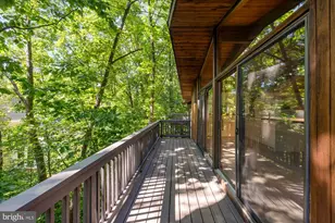 6412 Recreation Ln, Falls Church, VA 22041 - Photo 49