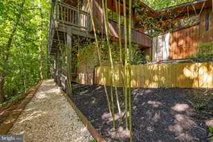 6412 Recreation Ln, Falls Church, VA 22041 - Photo 83