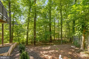 6412 Recreation Ln, Falls Church, VA 22041 - Photo 81