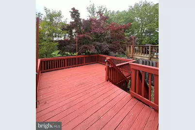 8408 Millwood Drive, Springfield, VA 22152 - Photo 23