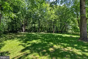 12312 Coleraine Ct, Reston, VA 20191 - Photo 35