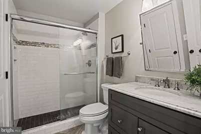 248 Springvale Road, Great Falls, VA 22066 - Photo 61