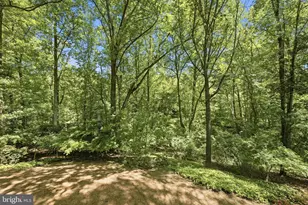 2327 Riviera Dr, Vienna, VA 22181 - Photo 37