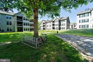 7505 Calderon Ct, Alexandria, VA 22306 - Photo 39