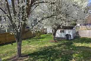 4231 Corcoran St, Alexandria, VA 22309 - Photo 3