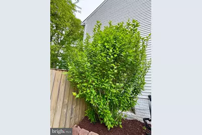 6160 Lucas Pond Court, Burke, VA 22015 - Photo 15