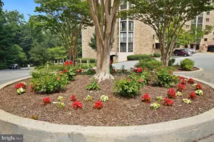 5904 Mt Eagle Dr, Alexandria, VA 22303 - Photo 97