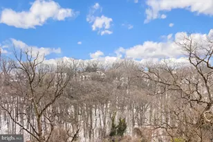 5904 Mt Eagle Dr, Alexandria, VA 22303 - Photo 5