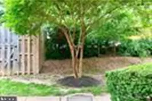 3330 Spring Ln, Falls Church, VA 22041 - Photo 5