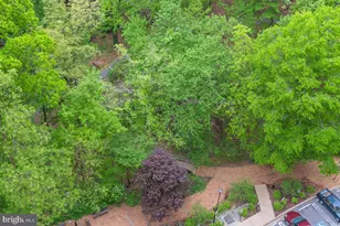 5902 Mt Eagle Dr, Alexandria, VA 22303 - Photo 15