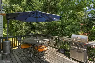 8078 Sebon Dr, Vienna, VA 22180 - Photo 47