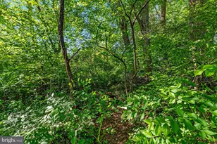 2406 Claremont Dr, Falls Church, VA 22043 - Photo 37