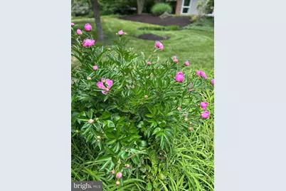 7715 Elba Road, Alexandria, VA 22306 - Photo 61