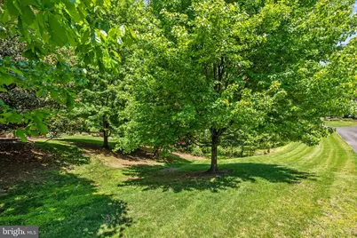 9304 Fitz Folly Drive, Great Falls, VA 22066 - Photo 11
