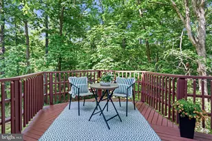 13209 Ashvale Dr, Fairfax, VA 22033 - Photo 39