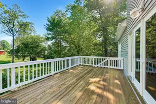 6454 Woodridge Rd, Alexandria, VA 22312 - Photo 33