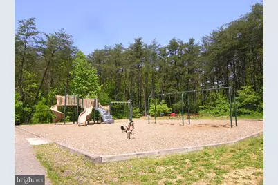 6380 Michael Robert Drive, Springfield, VA 22150 - Photo 23