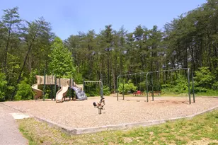 6380 Michael Robert Dr, Springfield, VA 22150 - Photo 23