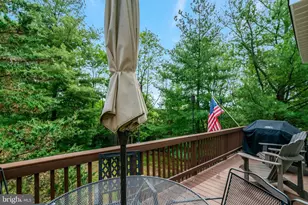 6449 Katherine Ann Ln, Springfield, VA 22150 - Photo 17