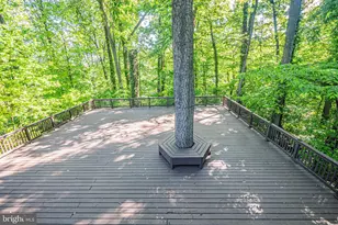 6466 Oakwood Dr, Falls Church, VA 22041 - Photo 35