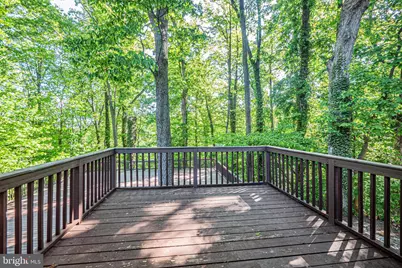 6466 Oakwood Drive, Falls Church, VA 22041 - Photo 9