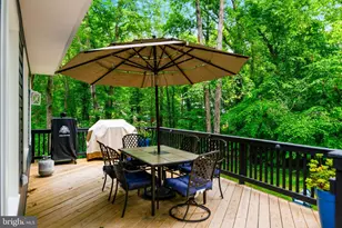 7603 Modisto Ln, Springfield, VA 22153 - Photo 53