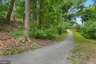 5904 Mt Eagle Dr, Alexandria, VA 22303 - Photo 75