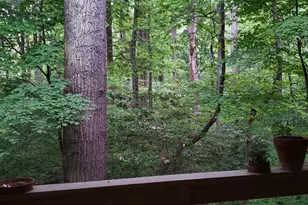2237 Lovedale Ln, Reston, VA 20191 - Photo 13