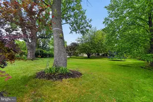 4429 Park, Alexandria, VA 22312 - Photo 31