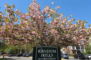 4135 Fountainside Ln, Fairfax, VA 22030 - Photo 23