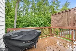 12654 Heron Ridge Dr, Fairfax, VA 22030 - Photo 39