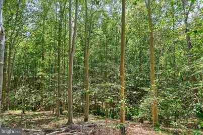 8228 Shadowridge Drive, Fairfax Station, VA 22039 - Photo 15