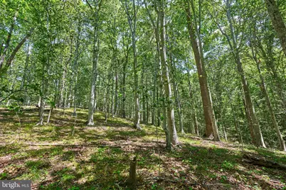 8228 Shadowridge Drive, Fairfax Station, VA 22039 - Photo 19