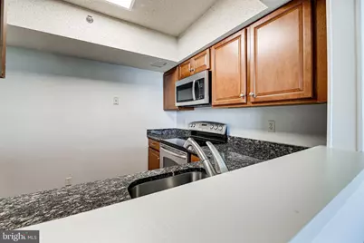 5505 Seminary Road #1412N, Falls Church, VA 22041 - Photo 3