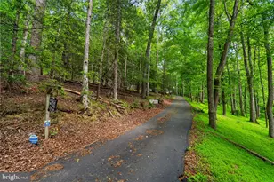 10701 Sycamore Springs Ln, Great Falls, VA 22066 - Photo 57