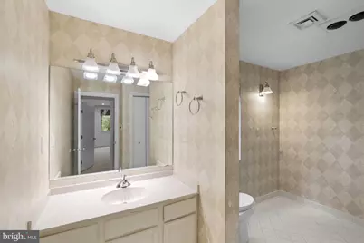 10701 Sycamore Springs Lane, Great Falls, VA 22066 - Photo 19