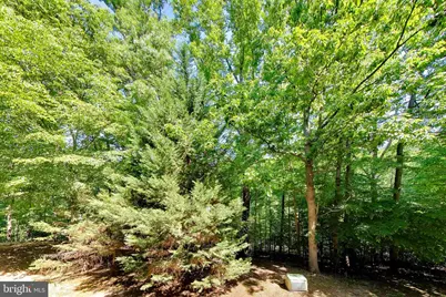 5946 Kimberly Anne Way, Alexandria, VA 22310 - Photo 13