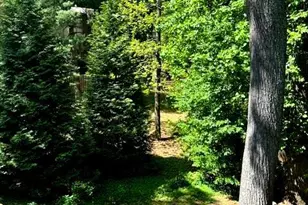 4420 Forest Glen Ct, Annandale, VA 22003 - Photo 5