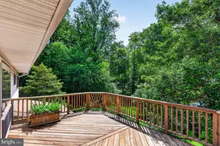 6333 Camilla St, Springfield, VA 22152 - Photo 9