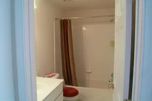8250 Red Carnation Ct, Lorton, VA 22079 - Photo 11