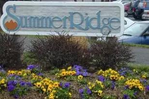 11743 Summerchase Cir, Reston, VA 20194 - Photo 25