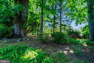 3219 Norfolk Ln, Falls Church, VA 22042 - Photo 49
